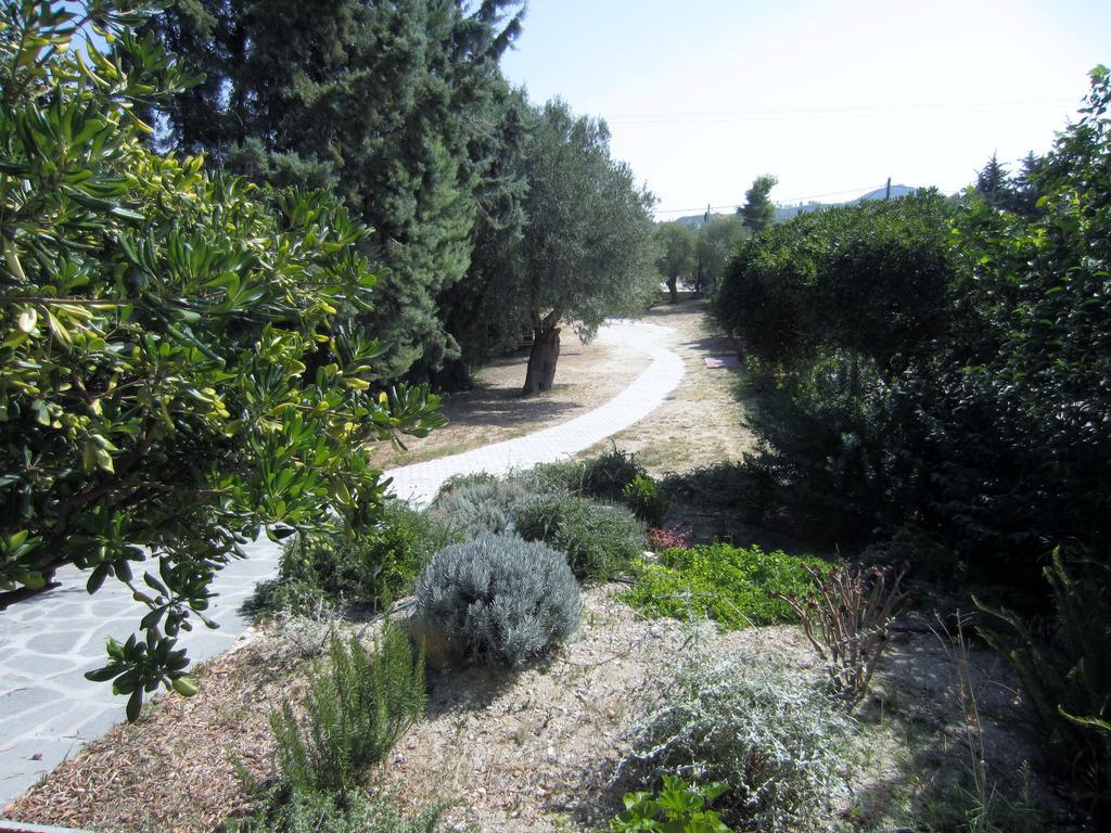 Neria Summer Houses Hanioti Exterior photo